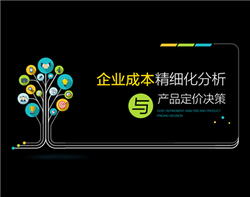 企業(yè)成本精細化分析與產品定價決策（3集）