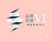 品牌营销VI视觉系统设计（2集）