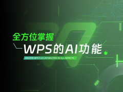 全方位掌握WPS的AI功能（13集）