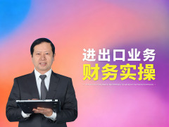 財(cái)務(wù)進(jìn)出口業(yè)務(wù)實(shí)操（5集）