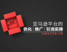 亚马逊平台的优化、推广与引流实操(2集)