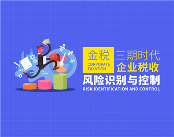 金稅三期時代企業(yè)稅收風(fēng)險識別與控制（9及）