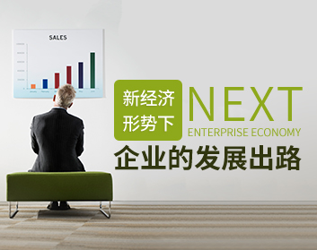 新經濟形勢下企業(yè)的發(fā)展出路（2集）