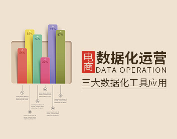 电商数据化运营——三大数据化工具应用（20集）