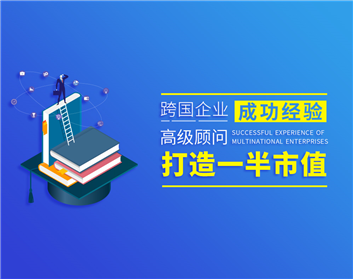 跨國企業(yè)成功經(jīng)驗-高級顧問打造一半市值（6集）