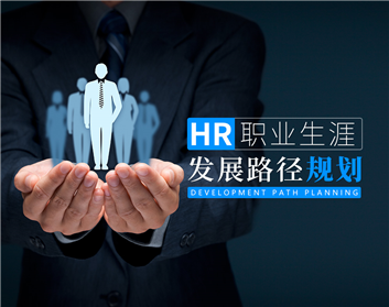 HR职业生涯发展路径规划(20集)