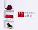 服饰门店销售诊断与业绩提升(6集)
