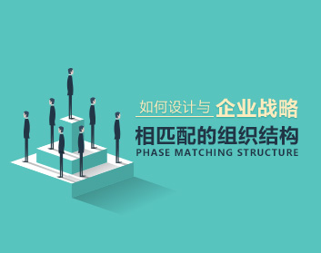 如何设计与企业战略相匹配的组织结构(5集)