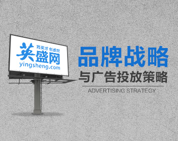品牌战略与广告投放策略（2集）