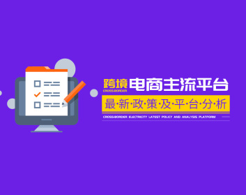 跨境电商主流平台最新政策及平台分析（2集）