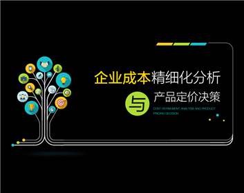 企业成本精细化分析与产品定价决策（3集）