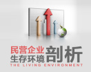 民营企业生存环境剖析（2集）