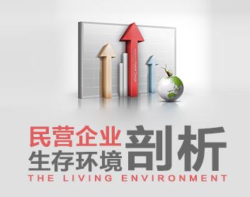 民营企业生存环境剖析（2集）