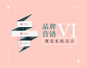 品牌营销VI视觉系统设计（2集）