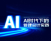 AI时代下的管理会计实践（3集）