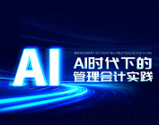 AI时代下的管理会计实践（3集）
