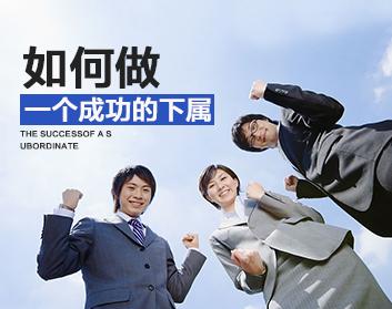 如何做一个成功的下属（5集）