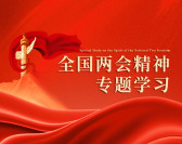 全国两会精神专题学习（2集）