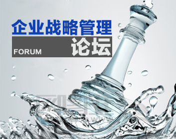 企业战略管理论坛（4集）