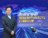 出海企业的税务风控与合规管理（3集）