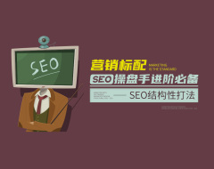 营销标配：SEO操盘手进阶必备-SEO结构性打法（11集）