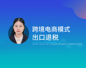 跨境电商模式出口退税（2集）