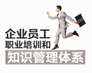 企业员工职业培训和知识管理体系（2集）