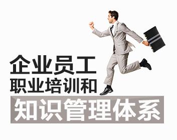 企业员工职业培训和知识管理体系（2集）