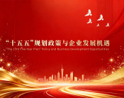 “十五五”规划政策与企业发展机遇（3集）