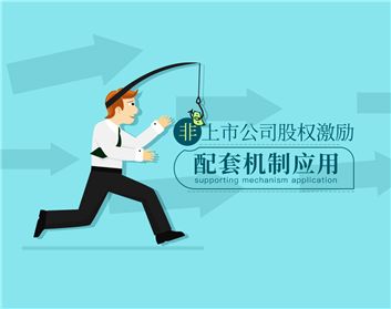 非上市公司股权激励-配套机制应用（2集）