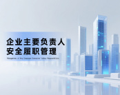 企业主要负责人安全履职管理