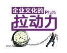 企业文化的拉动力（4集）