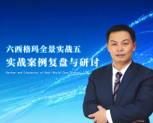 六西格玛全景实战五：实战案例复盘与研讨（4集）