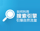 如何利用搜索引擎引爆自然流量（14集）