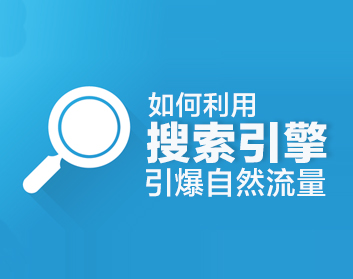 如何利用搜索引擎引爆自然流量（3集）