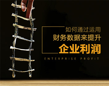 如何通过运用财务数据来提升企业利润（12集）