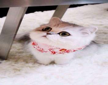 职业经理的自我管理（5集）