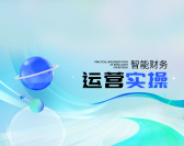 智能财务运营实操（5集）