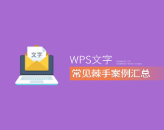 WPS文字常见棘手案例汇总（4集）