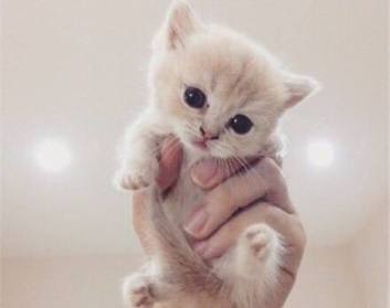 班组长管理实务（2集）