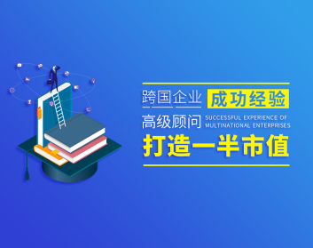 跨国企业成功经验-高级顾问打造一半市值（6集）