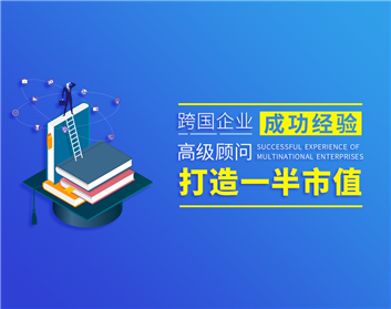 跨国企业成功经验-高级顾问打造一半市值（6集）