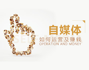 自媒体如何运营及赚钱（5集）