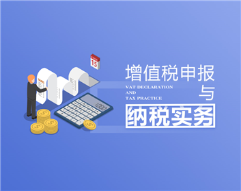 增值税申报与纳税实务