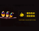 服饰色彩搭配密码（4集）