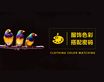 服饰色彩搭配密码（4集）