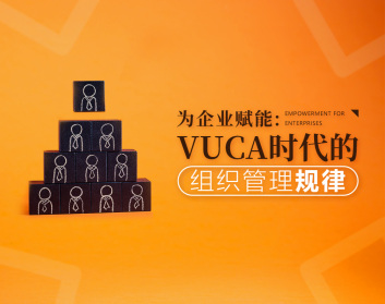 为企业赋能：VUCA时代的组织管理规律（2集）