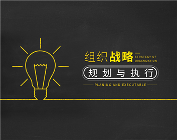 组织战略规划与执行（5集）