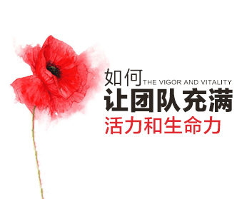 如何让团队充满活力和生命力（2集）