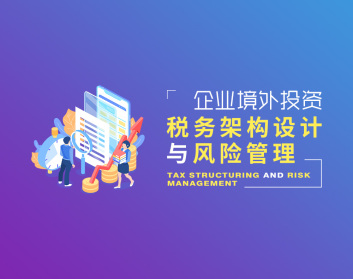 企业境外投资税务架构设计与风险管理（3集）